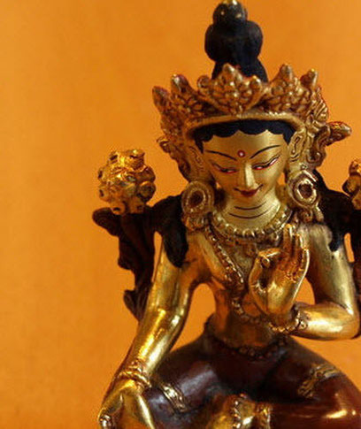 Tara Wellness · Fotos 6